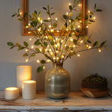 Ramură de măslin cu lumini decorative — imagine 1